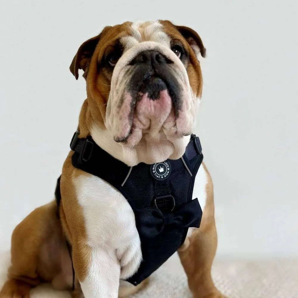 Trail & Glow® Dog Harness - The Jet Black One