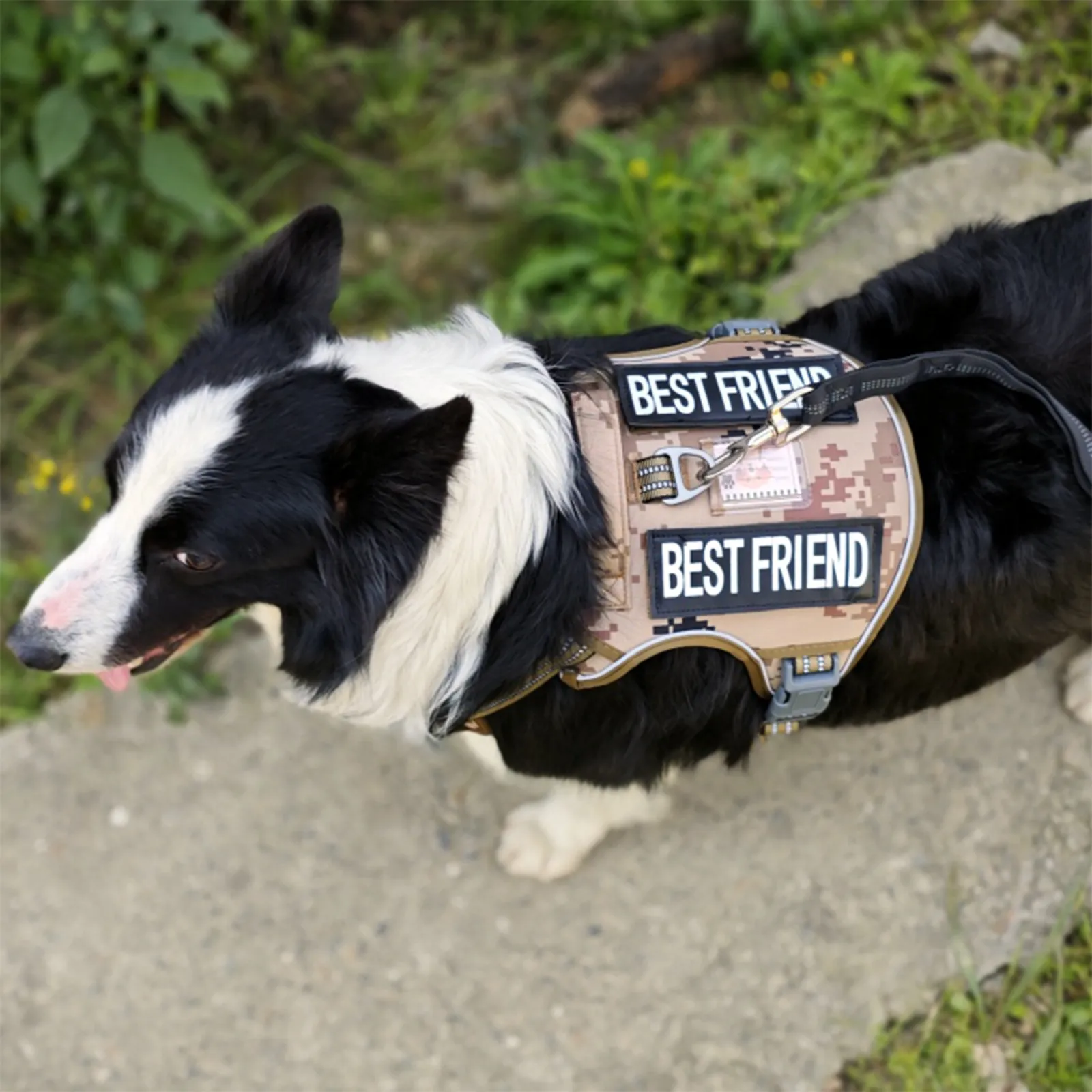 Training Vest Military Adjustable Pet Dog Harness Tactical No Pul Medium