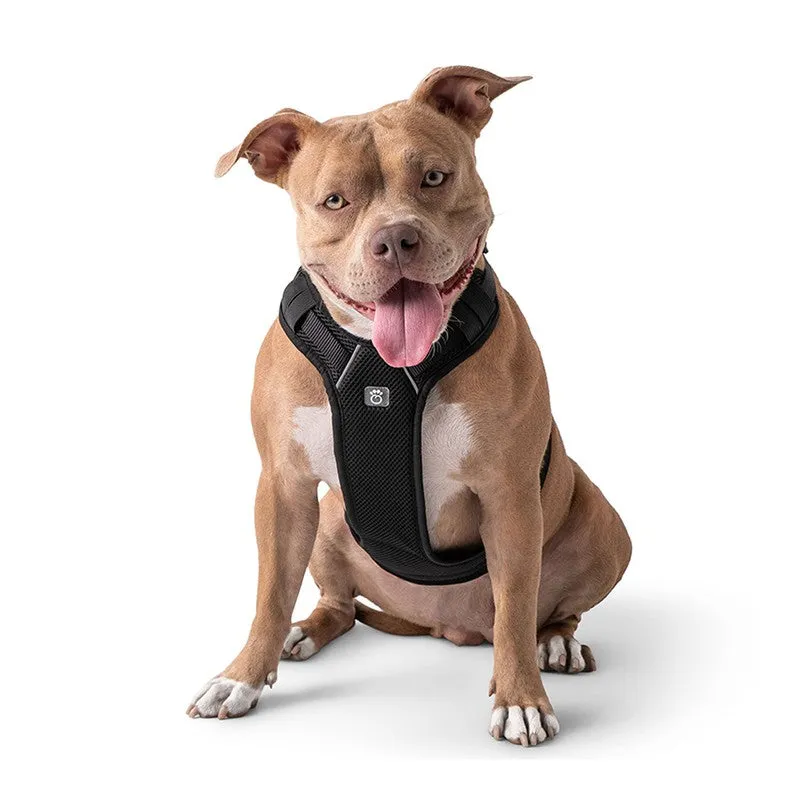 Travel Harness - Black: Safe, Comfortable, and Adjustable