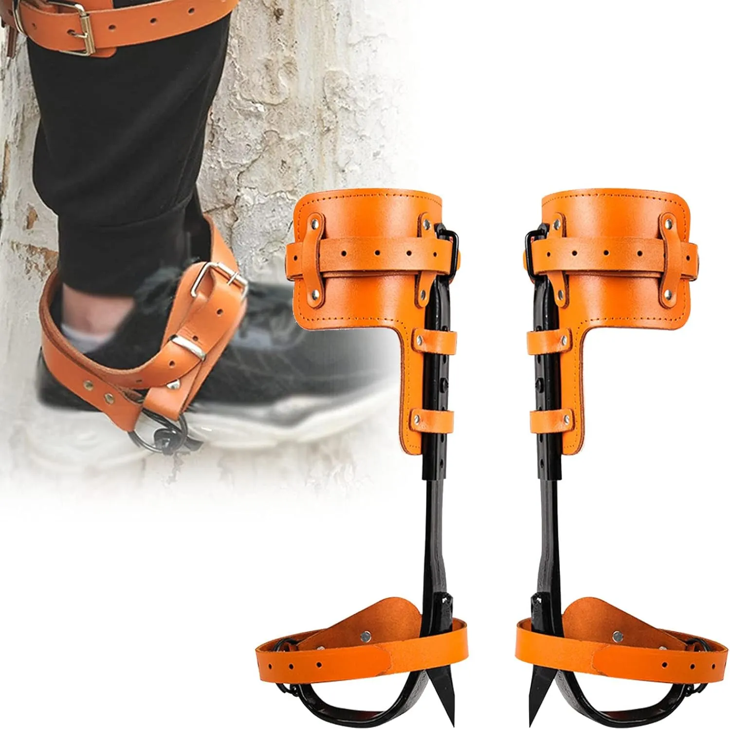 Tree Climbing Spikes Set, Climbing Harness with Weight Bearing 220lbs  Thick Steel Plate Material Adjustable Height Protect The Calf for Jungle Survival Fruit Picking