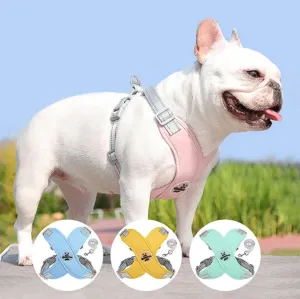 Ultra French Bulldog Harnesses