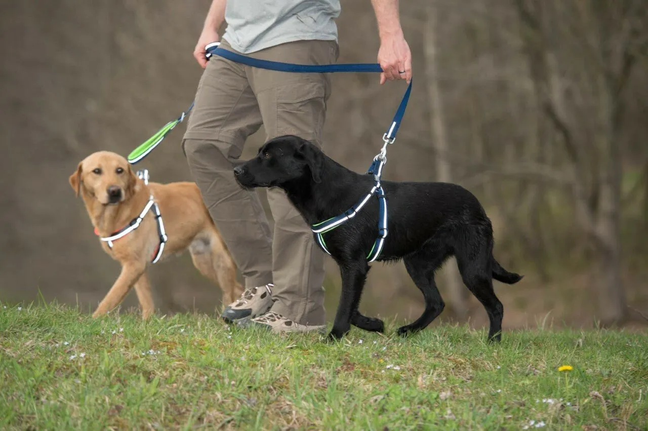 Weaver Terrain D.O.G. Durable Pet Outdoor Gear Reflective Neoprene Lined Harness