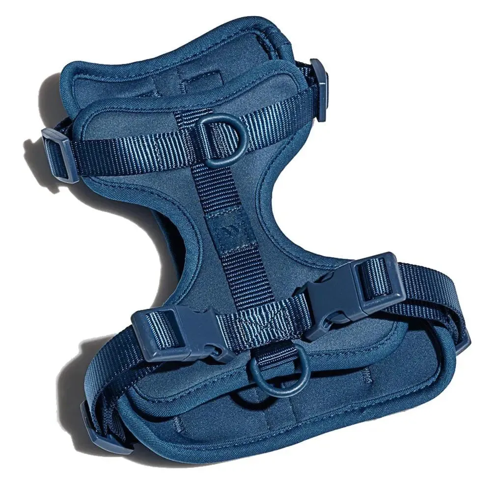 Wild One Dog Harness 2.0 Blue