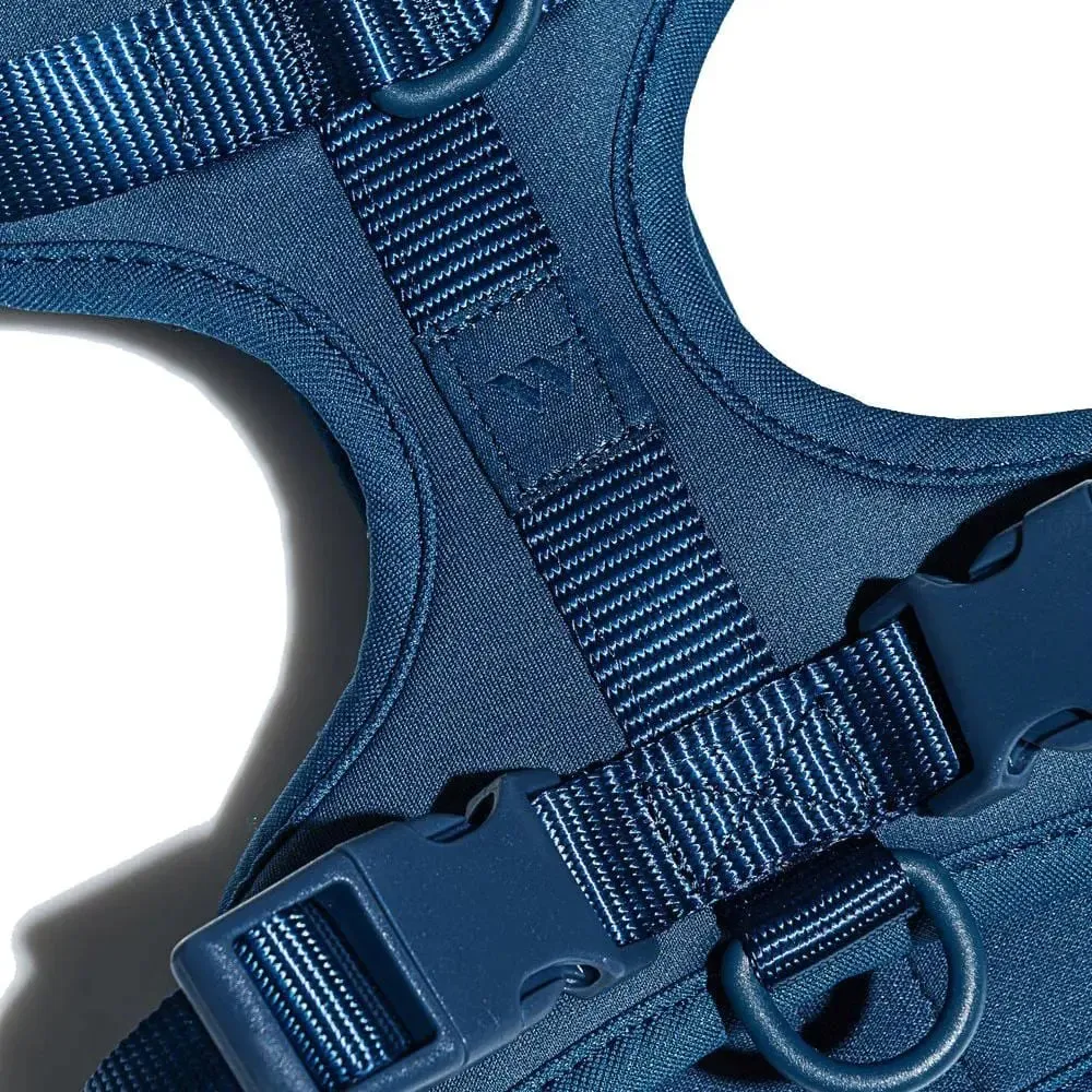 Wild One Dog Harness 2.0 Blue