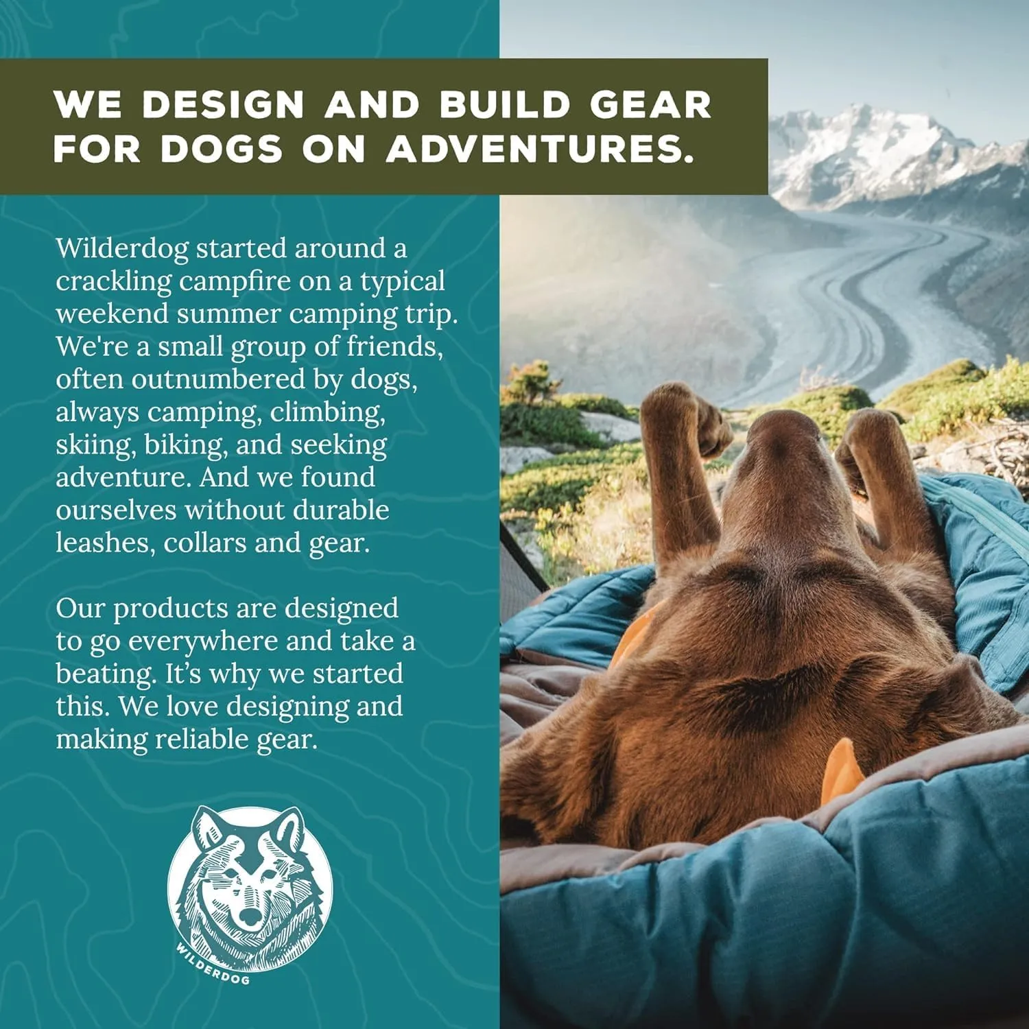 Wilderdog Lightweight Dog Harness with Reflective Straps - Large - Pacific Blue
