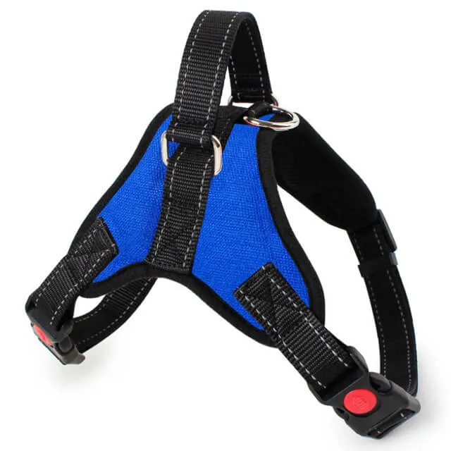 XS Adjustable Safety Dog Harness
