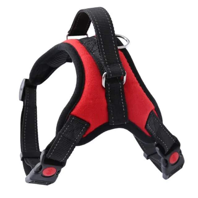 XS Adjustable Safety Dog Harness