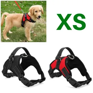XS Adjustable Safety Dog Harness