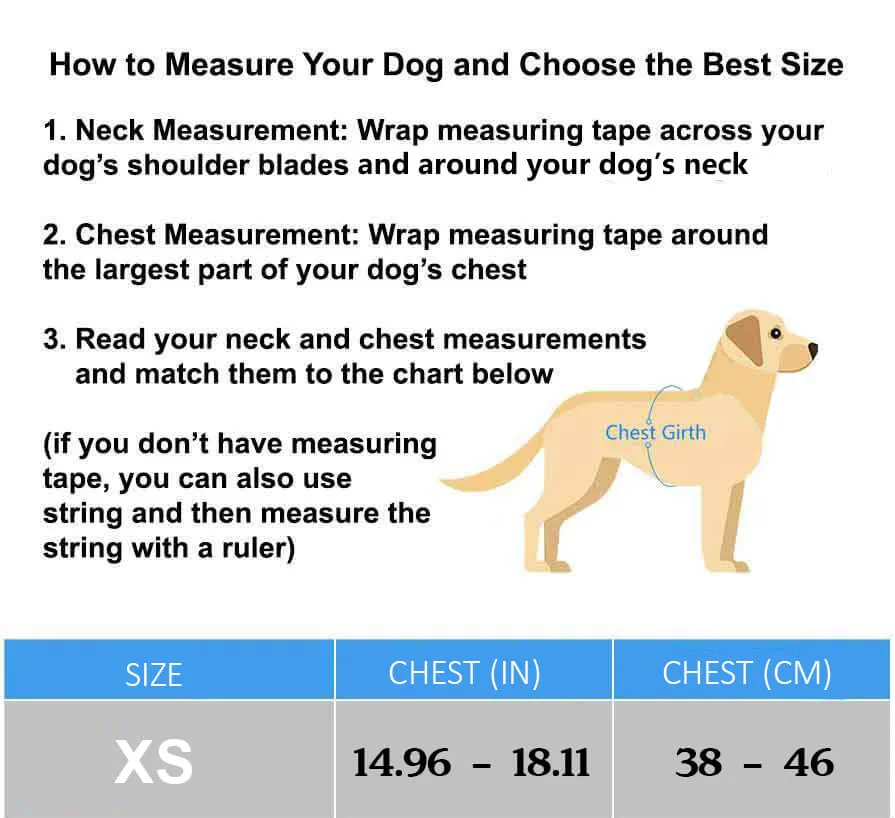 XS Adjustable Safety Dog Harness