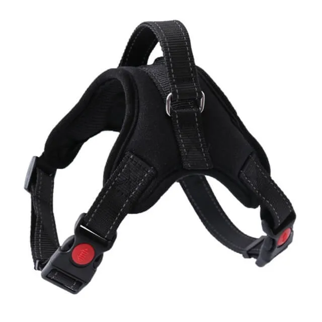 XS Adjustable Safety Dog Harness