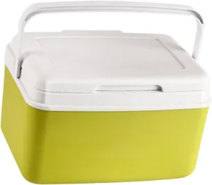 YIJU Insulated Box Hot/Cold Retention Cooler Food Carrier Large Capacity Car Refrigerator Ice Chest Small for Stall Beach Fishing