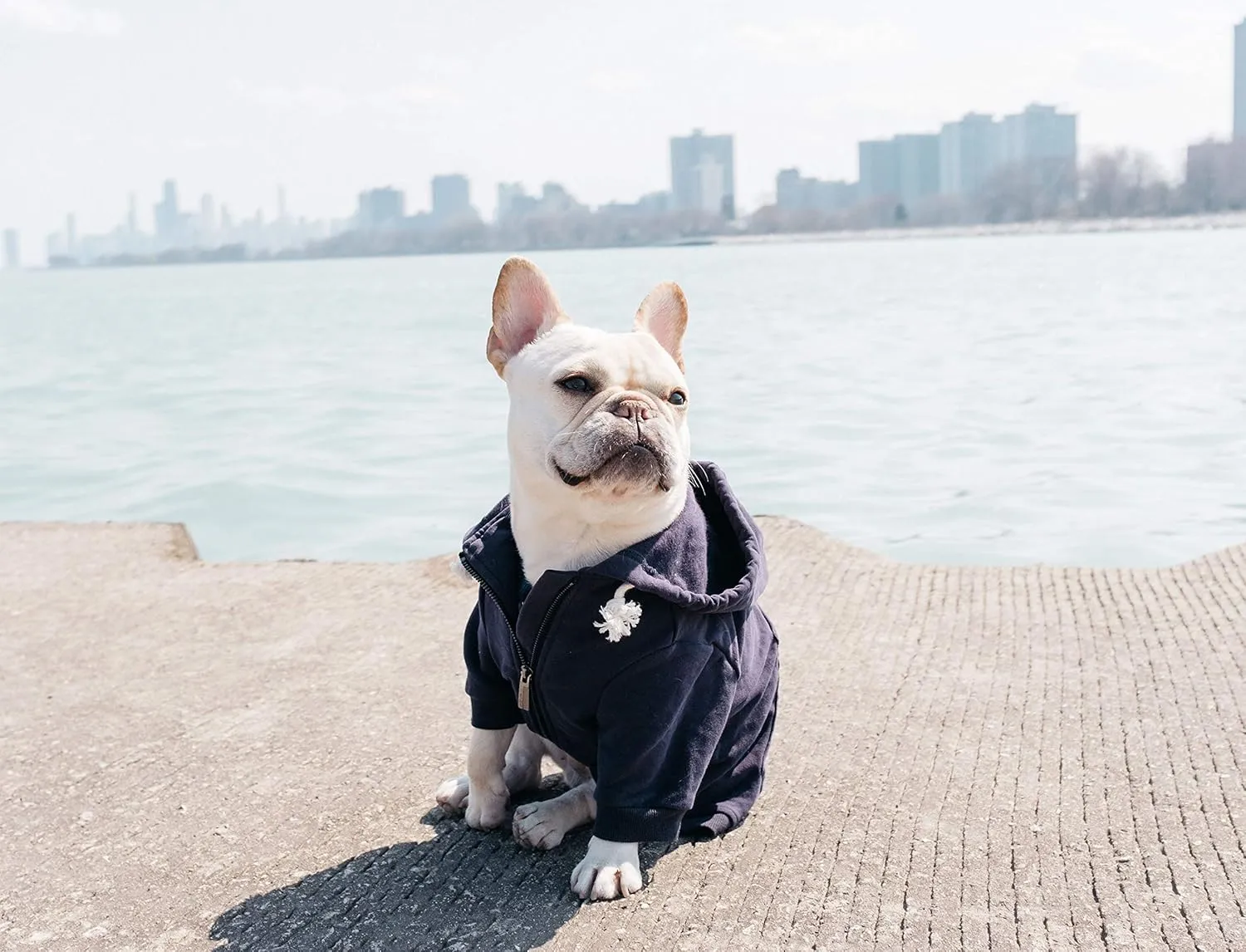 Zip Up Adventure Dog Hoodie with Hook & Loop Pockets and Adjustable Drawstring Hood - XXS to XXL - Multiple Colors - Comfortable & Versatile Dog Hoodies (Navy, XXS)