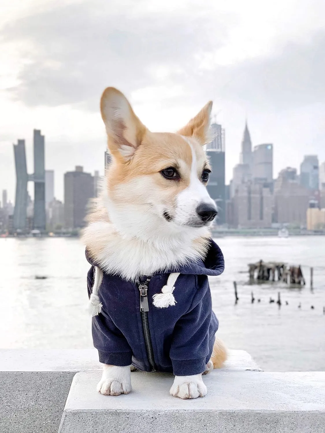 Zip Up Adventure Dog Hoodie with Hook & Loop Pockets and Adjustable Drawstring Hood - XXS to XXL - Multiple Colors - Comfortable & Versatile Dog Hoodies (Navy, XXS)
