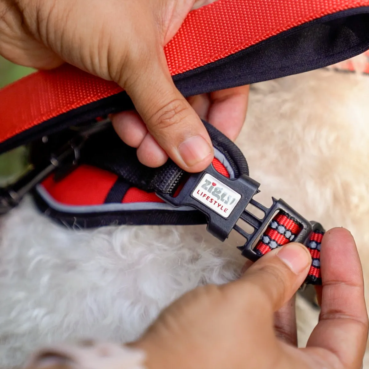 ZL Scarlet Adjustable Padded Dog Harness